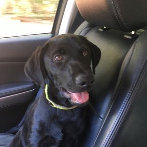 Meet your Posher, Teri